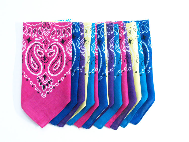 Easy Bandana Pennant Banner