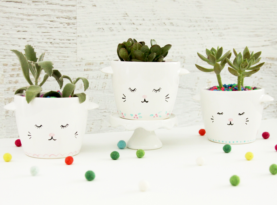 Sweet and Simple DIY Sleepy Kitten Planters