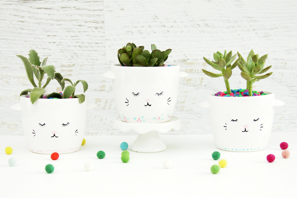 Sweet and Simple DIY Sleepy Kitten Planters