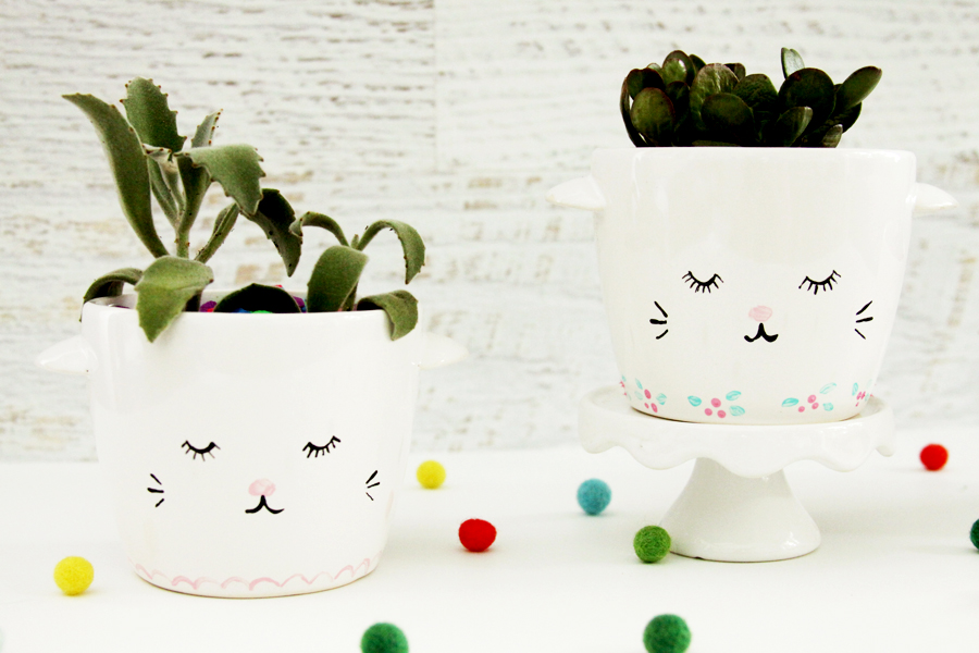 Sweet and Simple DIY Sleepy Kitten Planters