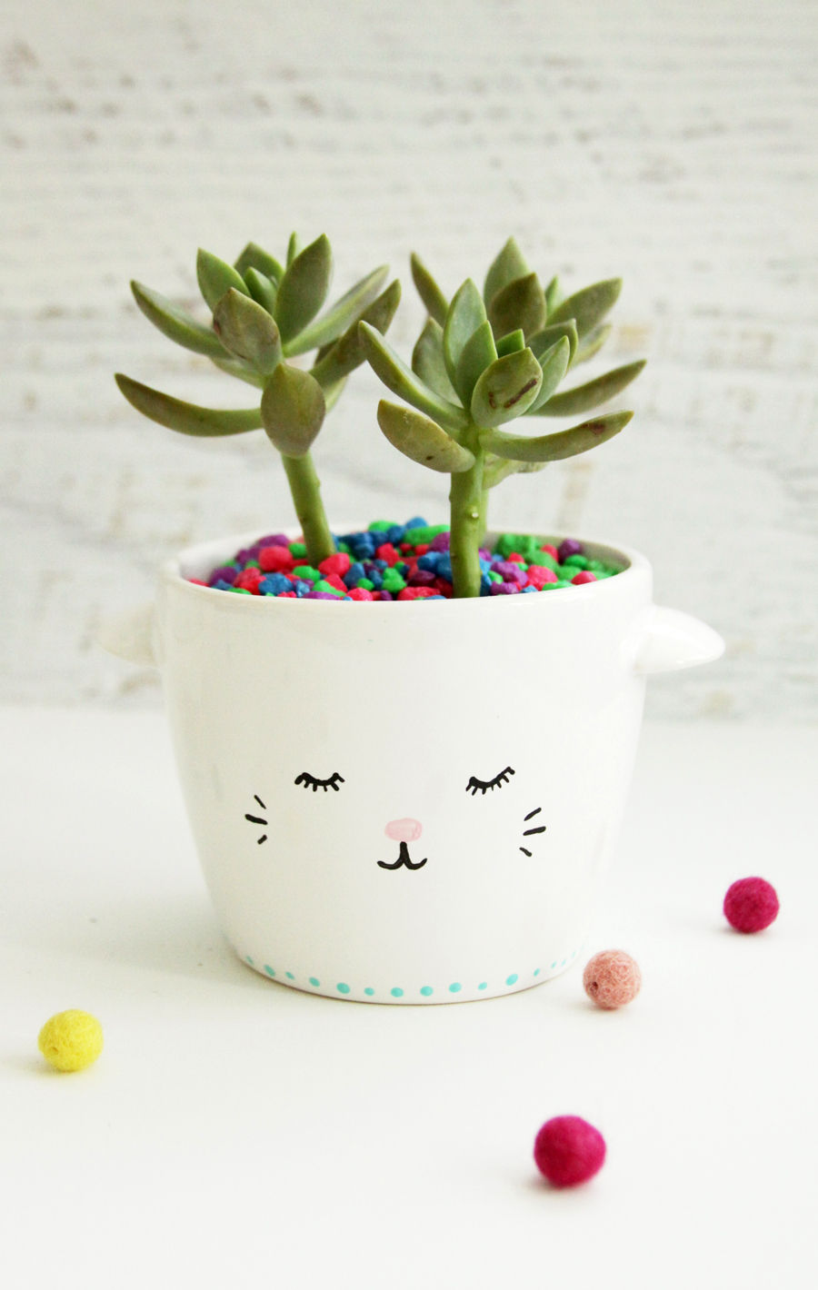 Sweet and Simple DIY Sleepy Kitten Planters