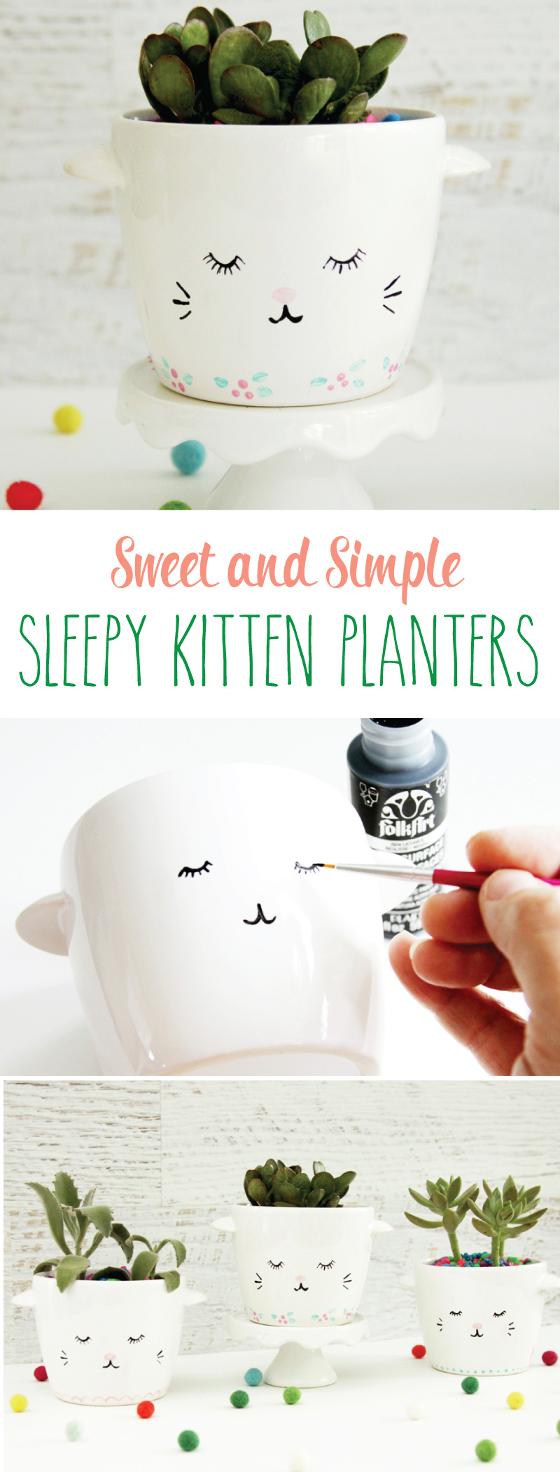 Sweet and Simple DIY Sleepy Kitten Planters