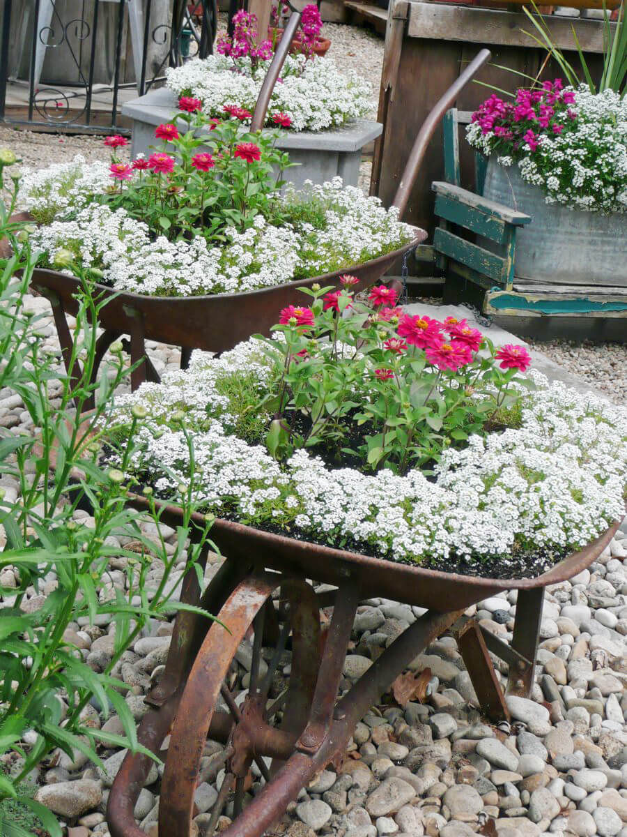 Rusty Wheelbarrow Flower Planters