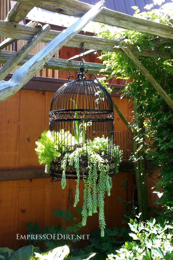 Vintage Birdcage Planter