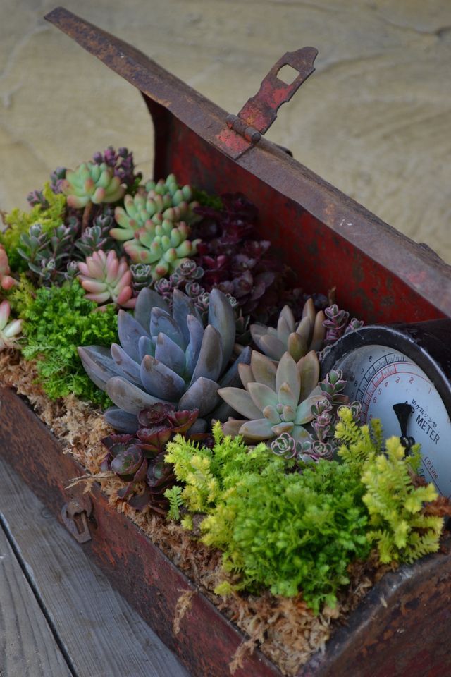 Vintage Toolbox Planter