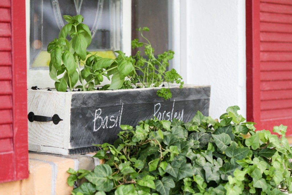 Creative DIY Herb Gardens for Any Space