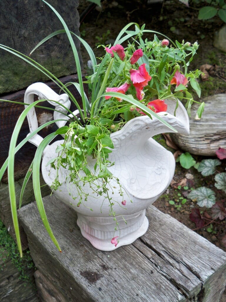 Antique Pitcher Planter