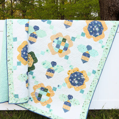Daisy a Day Quilt Along Kickoff