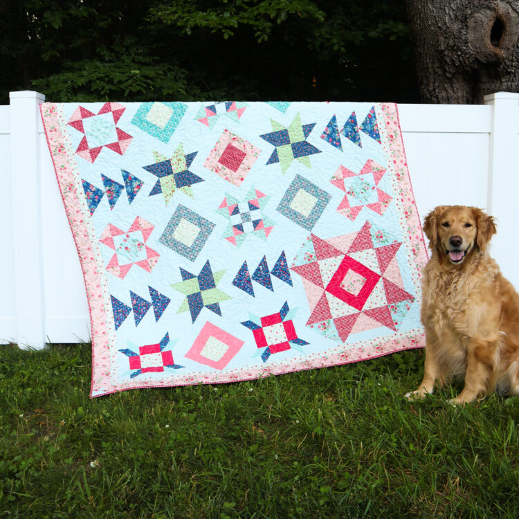 Wildflower Fields Quilt Sew Along Kickoff